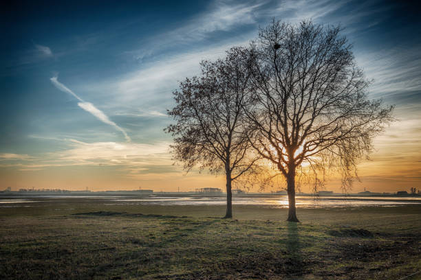 istock Dramatically colored rural landscape with two leafless trees silhouetted against the bright sun 980114940