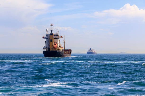 istock Cargo ship in Bosporus Sea, Istanbul. 980117488