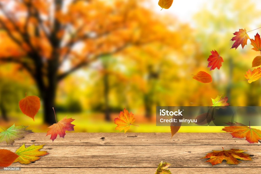 table en bois en face de l’automne coloré laisse - Photo de Automne libre de droits