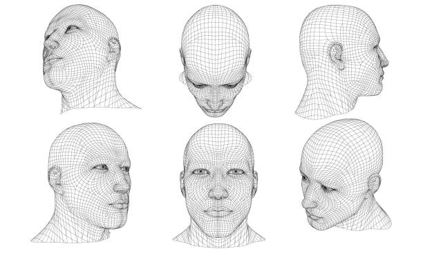 ilustrações de stock, clip art, desenhos animados e ícones de set with a polygonal head of a man 3d - men posing human face human head