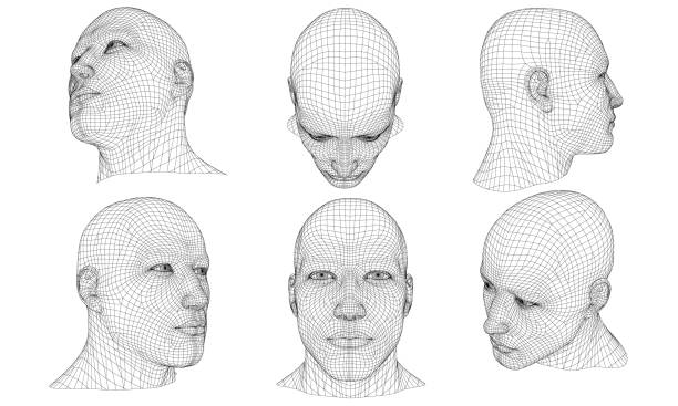 набор с многоугольной головой человека 3d - human head stock illustrations