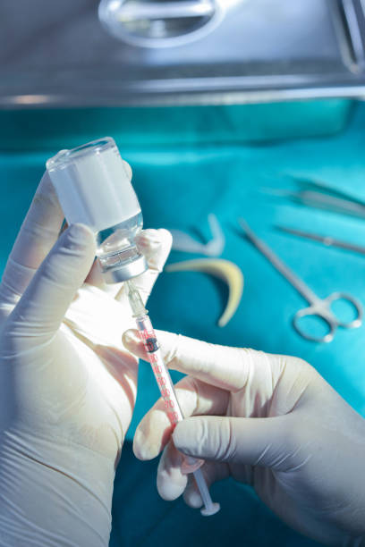 istock Syringe and medicine vial prepare for injection with surgical 980130604