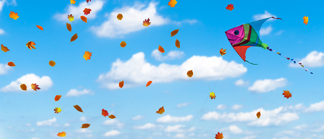 colorful kite and fall leaves on blue autumnal sky
