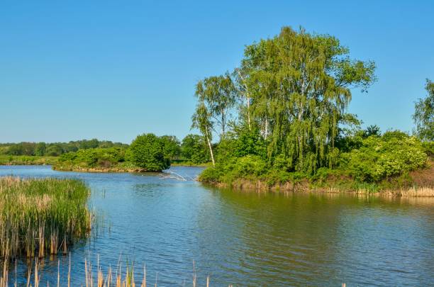 istock Beautiful rural landscape. 980134626