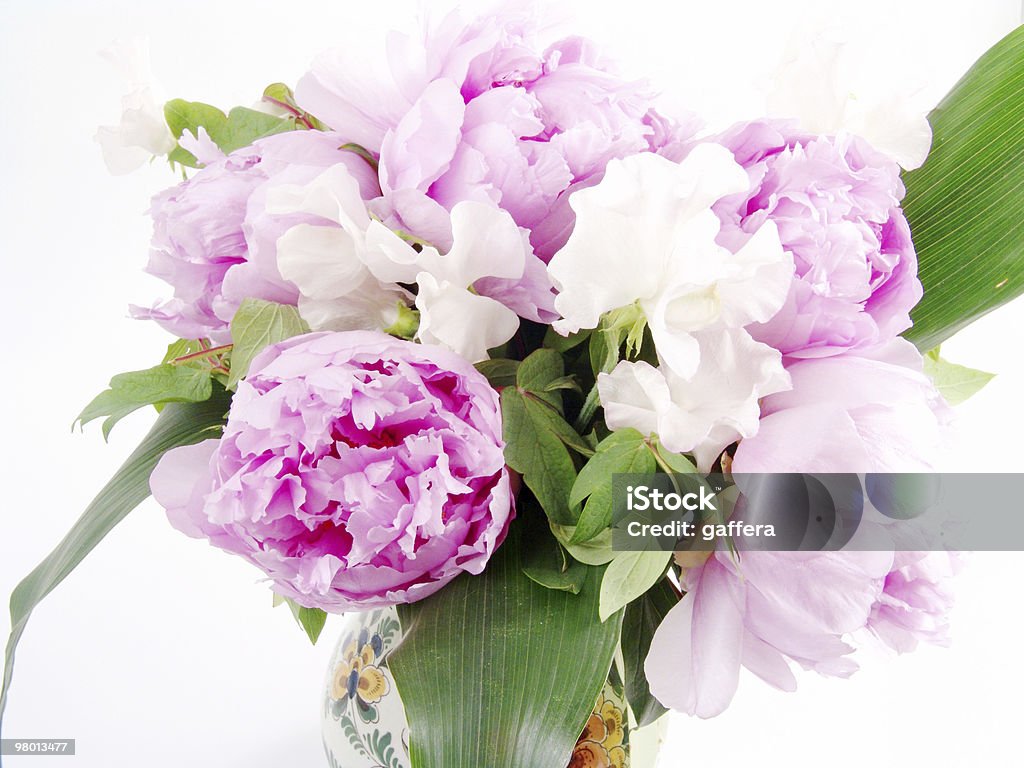 bouquet of peonies  Birthday Stock Photo