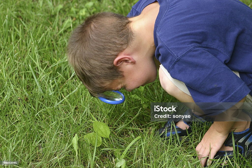 Junge mit Lupe - Lizenzfrei Blatt - Pflanzenbestandteile Stock-Foto