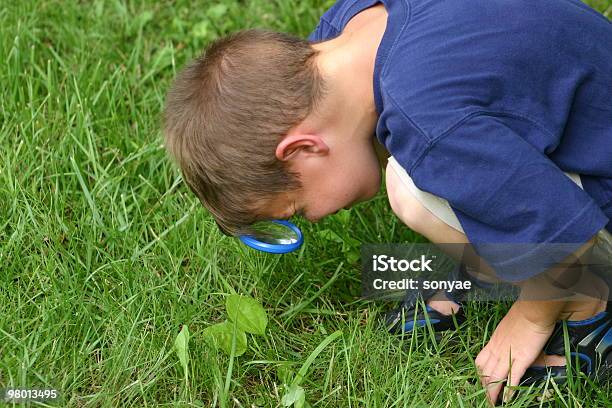 Boy With Magnifying Glass Stock Photo - Download Image Now - Boys, Leaf, Magnifying Glass