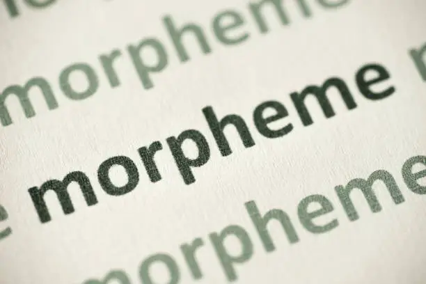 Photo of word morpheme printed on paper macro