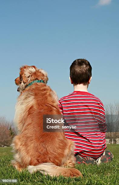 Photo libre de droit de Garçon Et Chien Assis Sur Une Colline banque d'images et plus d'images libres de droit de Enfant - Enfant, Golden retriever, Amitié