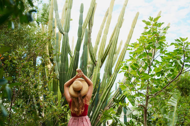 istock My favourite spot in the backyard 980147072