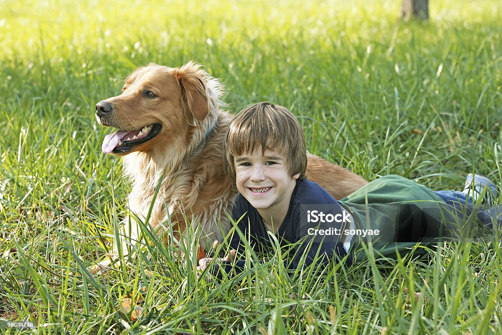 Boy establecer con perro - Foto de stock de Acostado libre de derechos