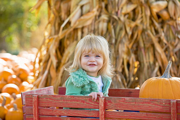 kleines mädchen in einem kombi - pumpkin child little girls pumpkin patch stock-fotos und bilder