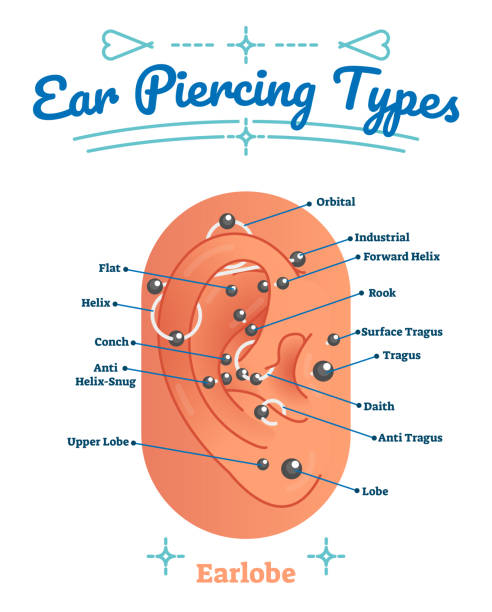 Beauty and fashion medical vector illustration diagram with types of ear piercing. Pierced human earlobe labeled scheme with lobe, helix, conch, rook, tragus and daith examples. Beauty and fashion medical anatomical vector illustration with ear piercing types. Pierced human earlobe closeup labeled scheme with lobe, flat, helix, conch, orbital, rook, tragus and daith. piercing stock illustrations