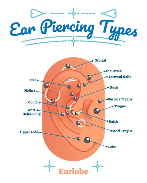 Vector illustration of Beauty and fashion medical vector illustration diagram with types of ear piercing. Pierced human earlobe labeled scheme with lobe, helix, conch, rook, tragus and daith examples.