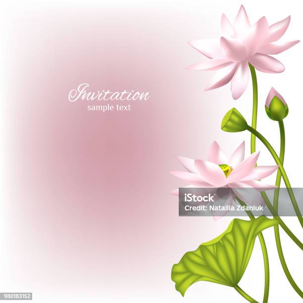 Lotus Flowers Floral Background Invitation Water Lily Buds Petals Vector Illustration Isolated White Background Border Buddhism India Spa Design For Cosmetics Stock Illustration - Download Image Now