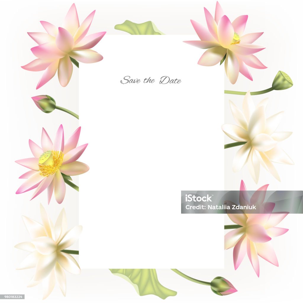 Lotus. Flowers. Floral background. Invitation. Water lily. Buds. Petals. Vector illustration. Isolated. White background. Border. Buddhism. India. Spa. Design for cosmetics. Lotus. Flowers. Floral background. Water lily. Buds. Petals. Vector illustration. Isolated. White background. Border. Buddhism. India. Spa. Design for cosmetics. Invitation. Art stock vector