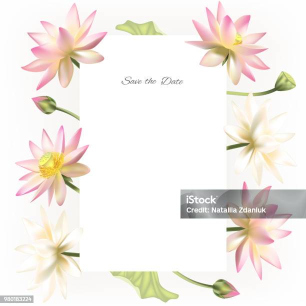 Lotus Flowers Floral Background Invitation Water Lily Buds Petals Vector Illustration Isolated White Background Border Buddhism India Spa Design For Cosmetics Stock Illustration - Download Image Now