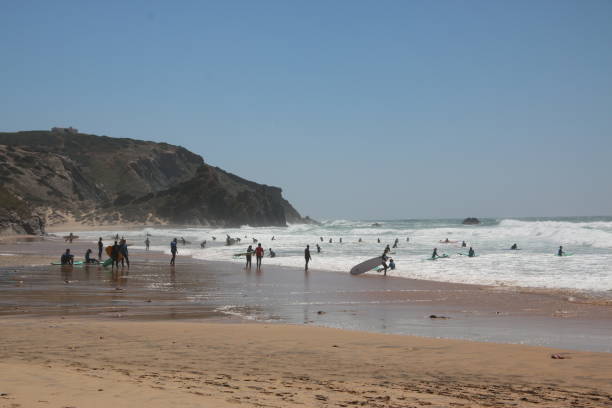 istock Landscape of Algarve 980186530