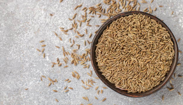 cumin seeds (zira) in a ceramic bowl close-up. seasoning. condiment - caraway imagens e fotografias de stock