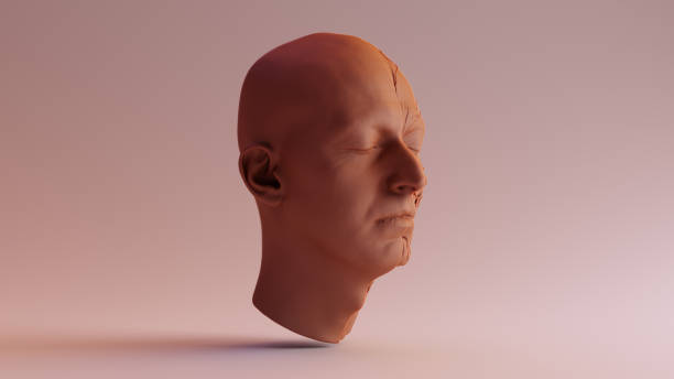istock Chocolate Clay Anatomical Ecorche Human head 980191660