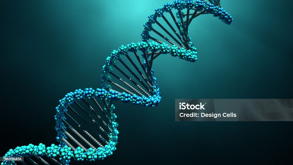 DNA molecules 3d illustration DNA molecules DNA Stock Photo