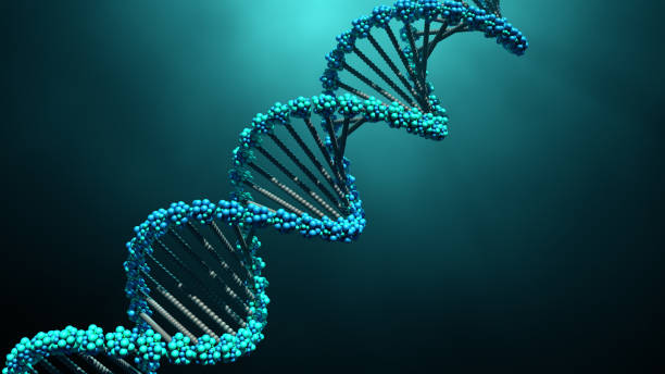 DNA molecules 3d illustration DNA molecules dna stock pictures, royalty-free photos & images
