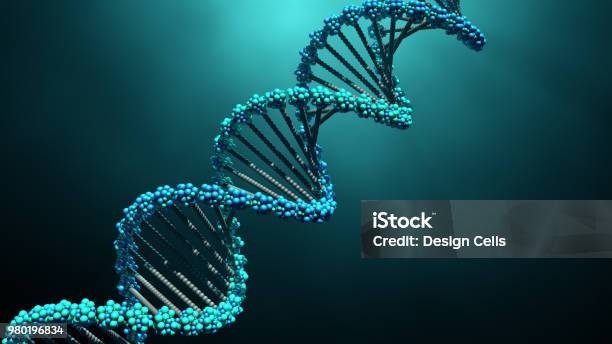 Dna Molecules Stock Photo - Download Image Now - DNA, Helix, Molecule