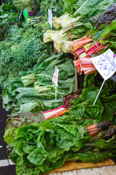 Variety of Fresh Leafy Green Vegetables