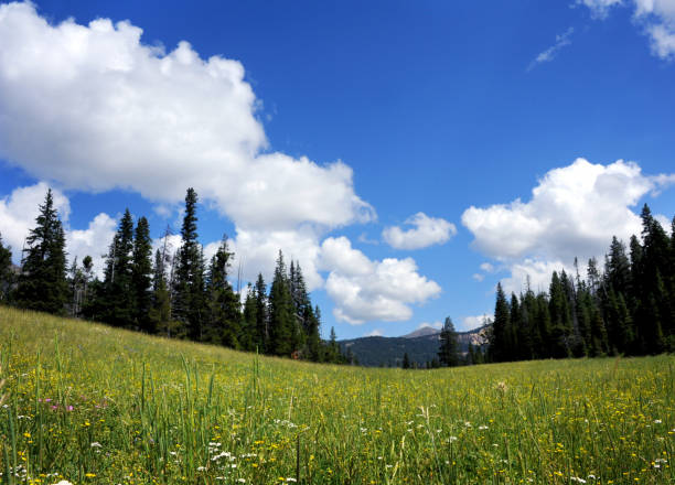 istock Yellowstone Vacation Escape 980203978