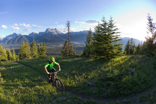 istock Mountain Bike Rider 980222688