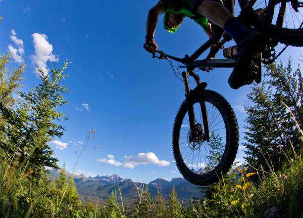 istock Mountain Bike Rider 980222690