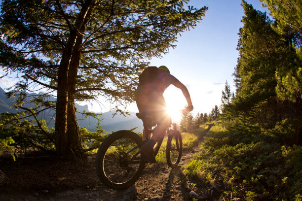 istock Mountain Bike Rider 980222898