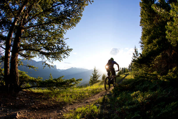 istock Mountain Bike Rider 980223430