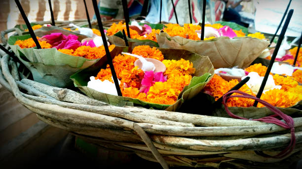 istock Many flower petals with beautiful colors 980231882
