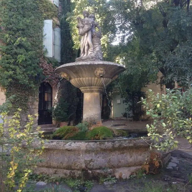The green plants and vines enhance the character of the fountain.