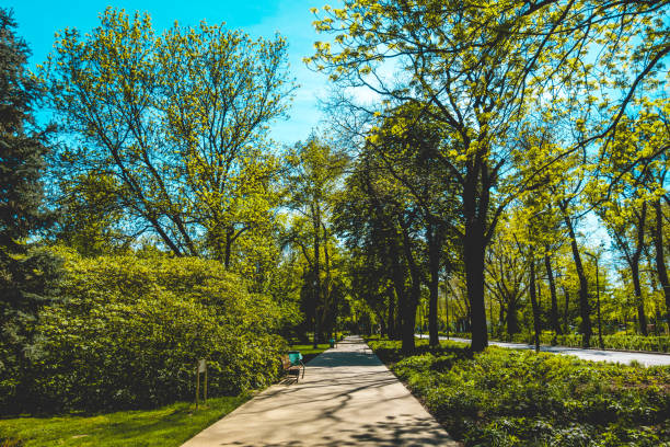 istock typical pedestrians way in a green park at budapest 980237070