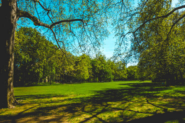 istock beautiful green park framed by trees 980243808