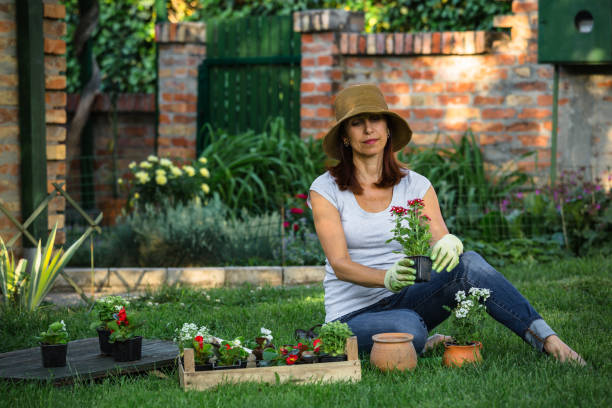 istock Woman gardening in her backyard 980248762