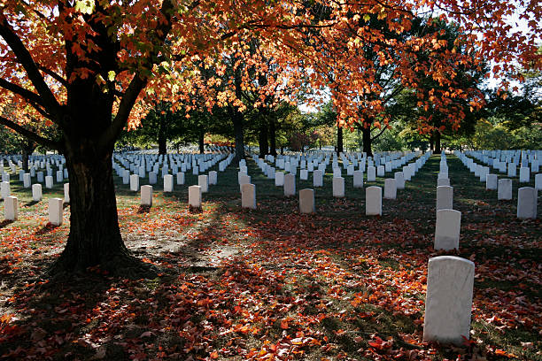 cores do outono no cemitério nacional de arlington - arlington national cemetery cemetery us memorial day us veterans day - fotografias e filmes do acervo