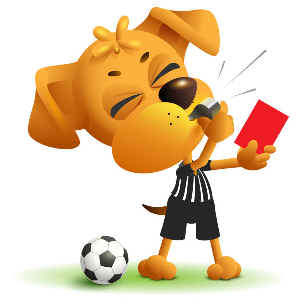 Football Referee Dog Shows Red Card Soccer Arbiter Whistles Stock  Illustration - Download Image Now - iStock
