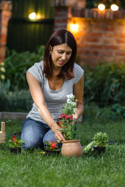 istock Woman gardening in her backyard 980252666