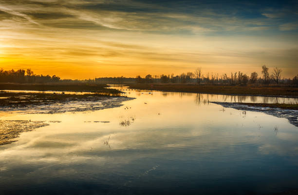 Flooded part of the Noordwaard polder in the Dutch National Park De Biesbosch near the village of Werkendam. The setting sun colors the sky orange. The photo was made on a day in the winter season.