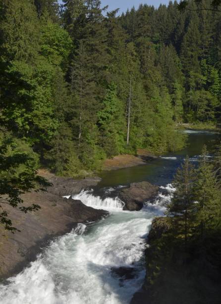 istock Elk Falls Vancouver Island 980255484