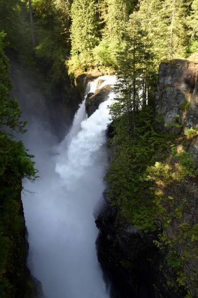istock Elk Falls, Vancouver Island 980255518