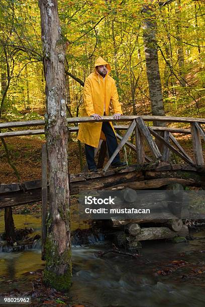 Yellow Raincoat Stock Photo - Download Image Now - Color Image, Footpath, Forest