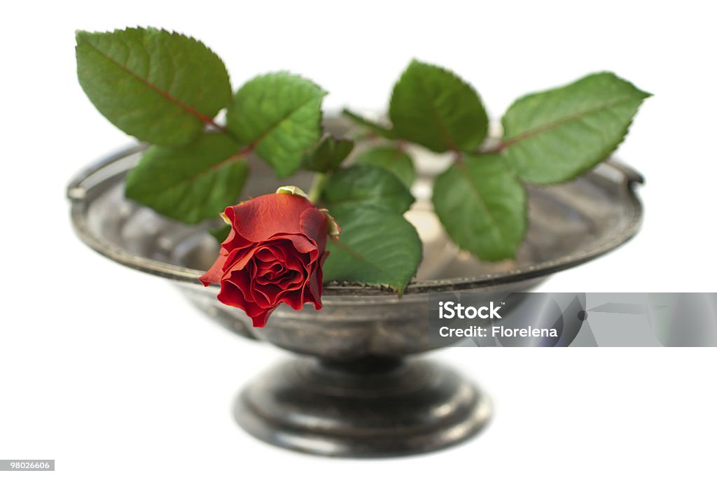 Красная роза на античный серебряный Чаша изолированные - Стоковые фото Антиквариат роялти-фри
