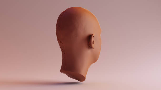 istock Chocolate Clay Anatomical Ecorche Human head 980266448