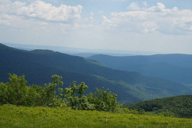 istock Bieszczady Mountains in Poland 980271714