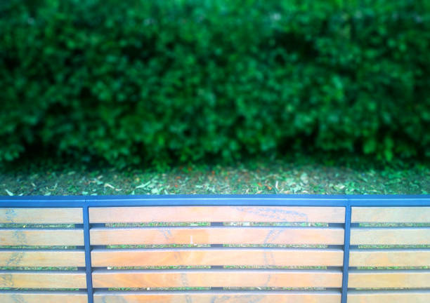 istock Park bench back with bokeh bushes background 980272240