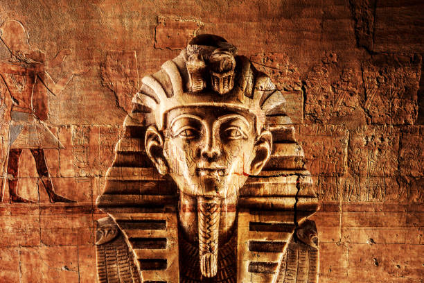 Stone pharaoh tutankhamen mask Stone pharaoh tutankhamen mask on dark background hairless animal photos stock pictures, royalty-free photos & images